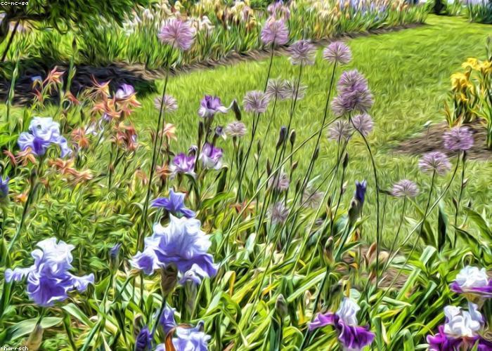 Peggy’s garden, his quiet pride
